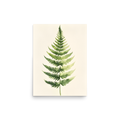 Morning Fern — Japandi zen nature poster, minimalist Japanese wall art print