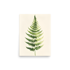 Morning Fern — Japandi zen nature poster, minimalist Japanese wall art print