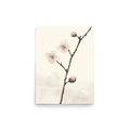 Early Plum — Japandi plum blossom poster, minimalist Japanese wall art print