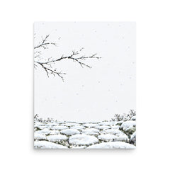 Seasons Garden · Snow Path · Winter
