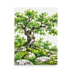 Seasons Garden · Green Tree · Summer
