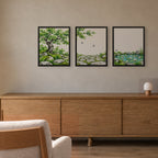 Seasons Garden · Summer — three framed prints hung side by side as a triptych, 16x20 in